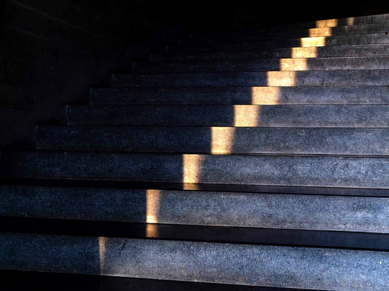 Steiner’s Vision for the Anthroposophical Society