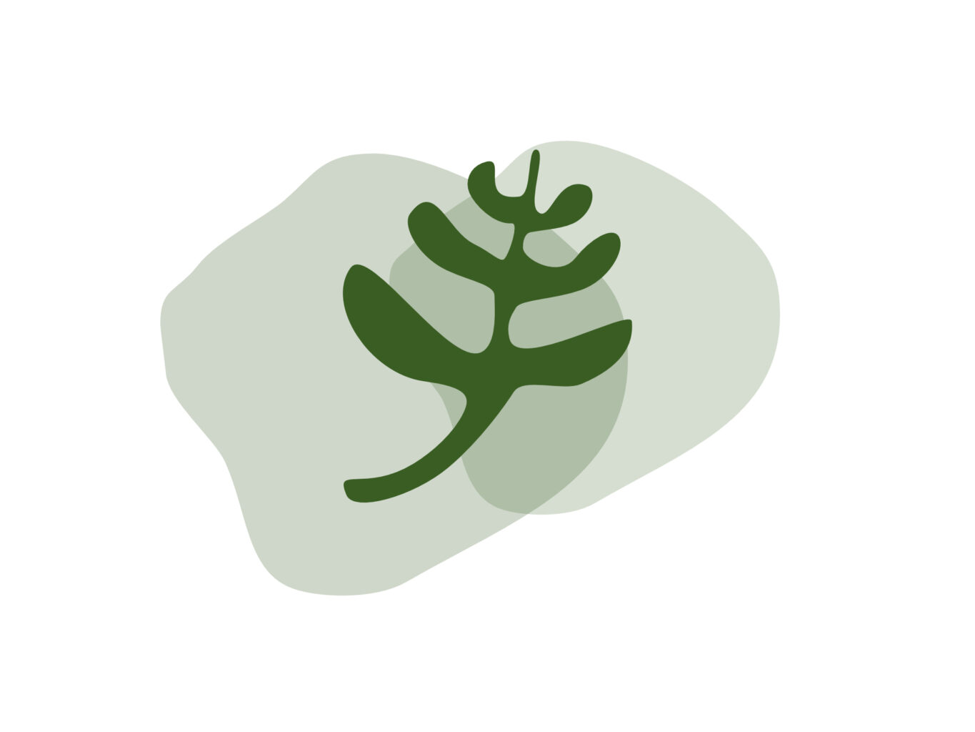 How Do I Distinguish Between Spiritual and Sensory Perception?