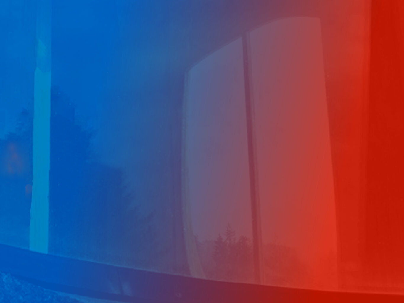 Reshaping the World Movement